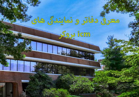 راه به دست آوردن پاداش فارکس