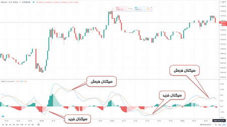 استیتمنت فارکس چیست؟